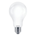 LED Pirn Philips A67 E27/17,5W/230V 2700K