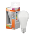 LED pirn STAR E27/19W/230V 6500K - Osram