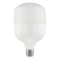 LED Pirn T100 E27/30W/230V 6500K