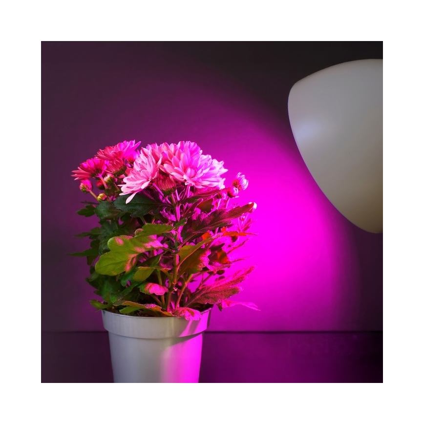 LED Pirn taimekasvatuseks PLANTY E27/11W/230V 1200K valge