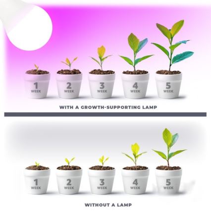 LED Pirn taimekasvatuseks PLANTY E27/11W/230V 1200K valge