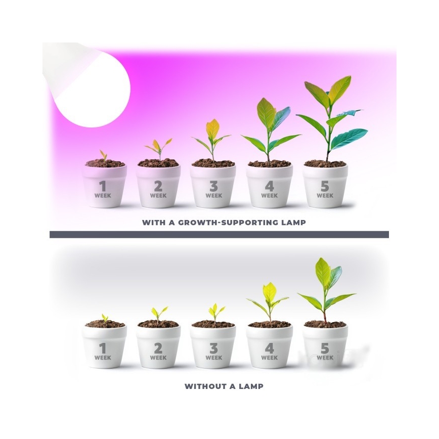 LED Pirn taimekasvatuseks PLANTY E27/11W/230V 1200K valge