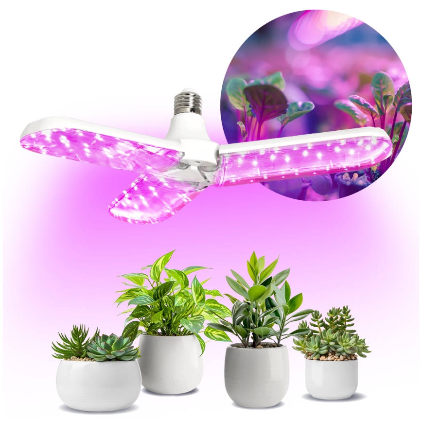 LED Pirn taimekasvatuseks PLANTY E27/24W/230V 1200K