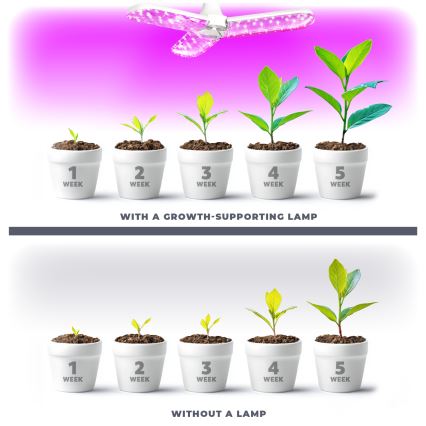 LED Pirn taimekasvatuseks PLANTY E27/24W/230V 1200K