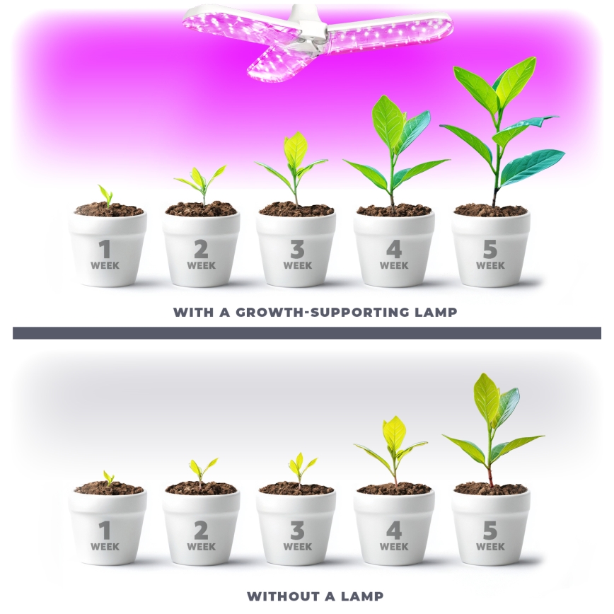 LED Pirn taimekasvatuseks PLANTY E27/24W/230V 1200K