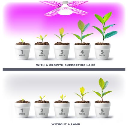 LED Pirn taimekasvatuseks PLANTY E27/40W/230V 1200K