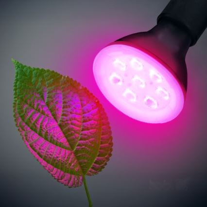 LED Pirn taimekasvatuseks PLANTY E27/7W/230V 1200K must