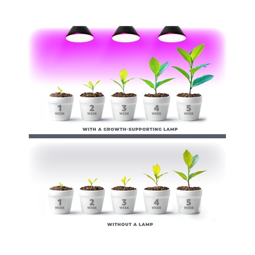 LED Pirn taimekasvatuseks PLANTY E27/7W/230V 1200K must