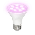 LED Pirn taimekasvatuseks PLANTY E27/7W/230V 1200K valge