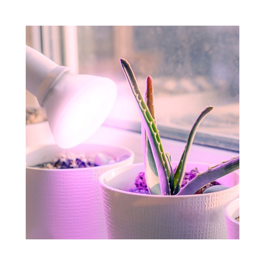 LED Pirn taimekasvatuseks PLANTY E27/7W/230V 1200K valge