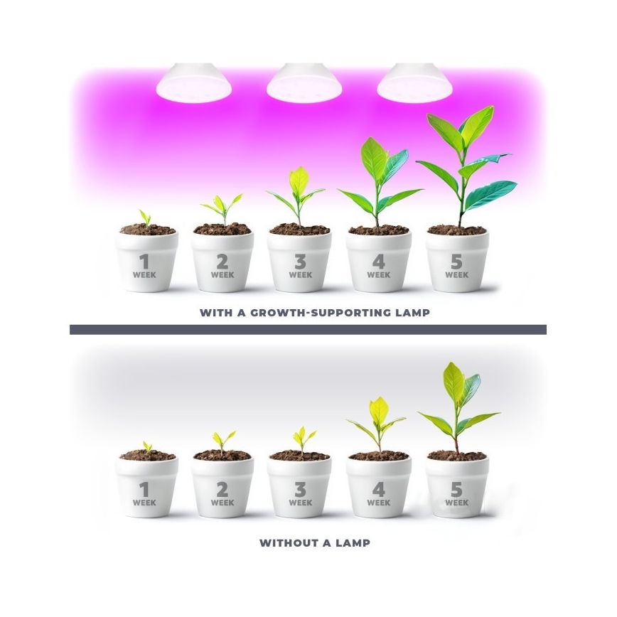 LED Pirn taimekasvatuseks PLANTY E27/7W/230V 1200K valge