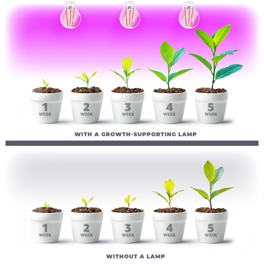 LED Pirn taimekasvatuseks PLANTY E27/8W/230V 1200K
