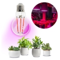 LED Pirn taimekasvatuseks VITABLOOM E27/8W/230V 1200K - Brilagi