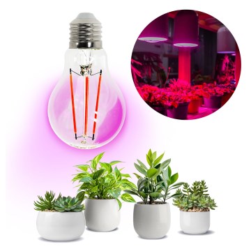 LED Pirn taimekasvatuseks VITABLOOM E27/8W/230V 1200K - Brilagi