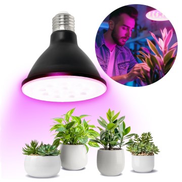 LED Pirn taimekasvatuseks VITABLOOM E27/9W/230V 1200K must - Brilagi