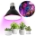 LED Pirn taimekasvatuseks VITABLOOM E27/9W/230V 1200K must - Brilagi