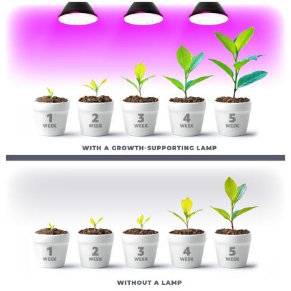 LED Pirn taimekasvatuseks VITABLOOM E27/9W/230V 1200K must - Brilagi