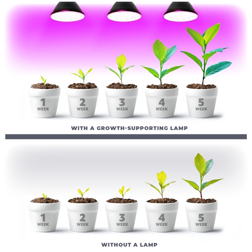 LED Pirn taimekasvatuseks VITABLOOM E27/9W/230V 1200K must - Brilagi