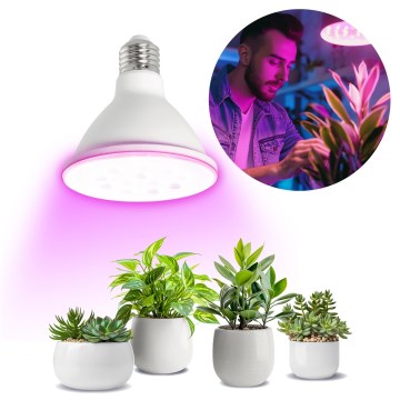 LED Pirn taimekasvatuseks VITABLOOM E27/9W/230V 1200K valge - Brilagi