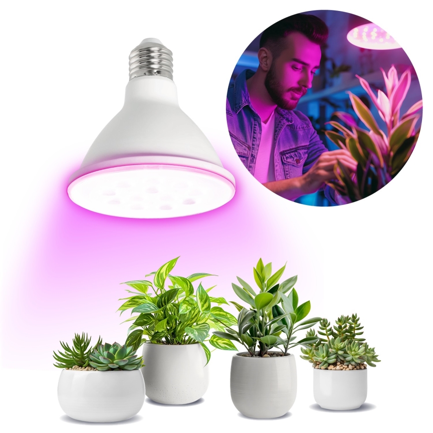 LED Pirn taimekasvatuseks VITABLOOM E27/9W/230V 1200K valge - Brilagi
