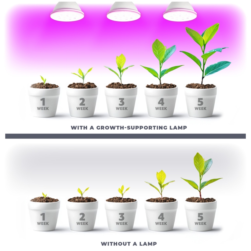 LED Pirn taimekasvatuseks VITABLOOM E27/9W/230V 1200K valge - Brilagi