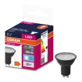 LED Pirn VALUE PAR16 GU10/4,5W/230V 6500K 36° must - Osram