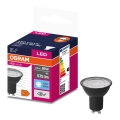 LED Pirn VALUE PAR16 GU10/6,9W/230V 6500K 36° must - Osram