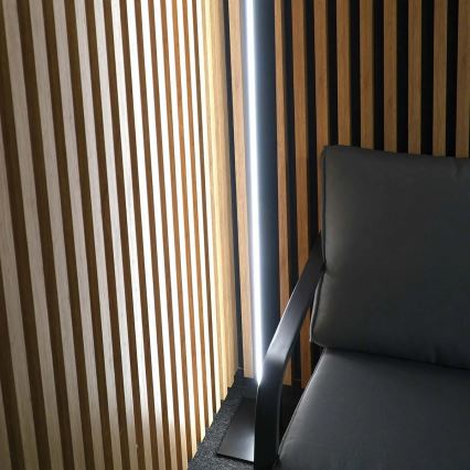 LED-põrandalamp BERNADETTA LED/28W/230V 4000K must