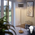 LED-põrandalamp TUNJA 1xE27/20W/230V läbimõõt 30 cm kuldne/taupe