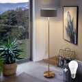 LED-põrandalamp TUNJA 1xE27/20W/230V, läbimõõt 38 cm, kuldne/pruun