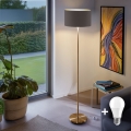 LED põrandalamp TUNJA 1xE27/20W/230V läbimõõt 38 cm kuldne/taupe