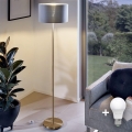 LED-põrandalamp TUNJA 1xE27/20W/230V Ø 30 cm kuldne/hall