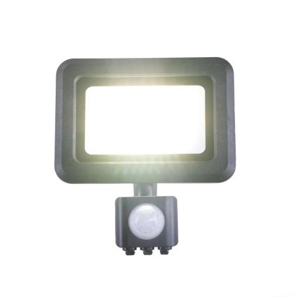 LED Prožektor anduriga LED/20W/230V 4000K IP44