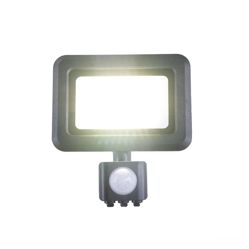 LED Prožektor anduriga LED/20W/230V 4000K IP44