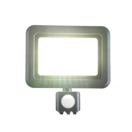 LED Prožektor anduriga LED/30W/230V 4000K IP44