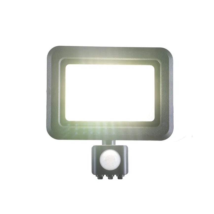 LED Prožektor anduriga LED/30W/230V 4000K IP44