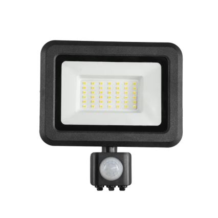 LED Prožektor anduriga LED/30W/230V 4000K IP44