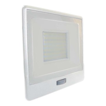 LED Prožektor anduriga LED/50W/230V 4000K IP65 valge