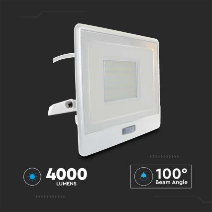 LED Prožektor anduriga LED/50W/230V 6500K IP65 valge