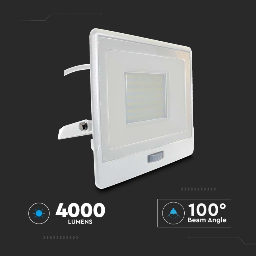 LED Prožektor anduriga LED/50W/230V 6500K IP65 valge