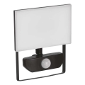 LED Prožektor anduriga TAMBO LED/20W/230V 4000K IP54