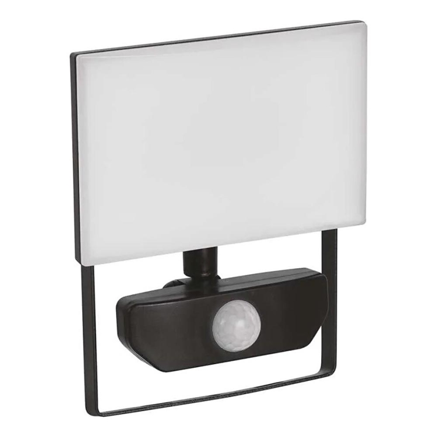 LED Prožektor anduriga TAMBO LED/20W/230V 4000K IP54