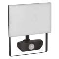 LED Prožektor anduriga TAMBO LED/30W/230V 4000K IP54