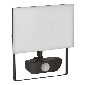 LED Prožektor anduriga TAMBO LED/30W/230V 4000K IP54