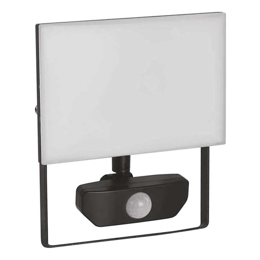 LED Prožektor anduriga TAMBO LED/30W/230V 4000K IP54