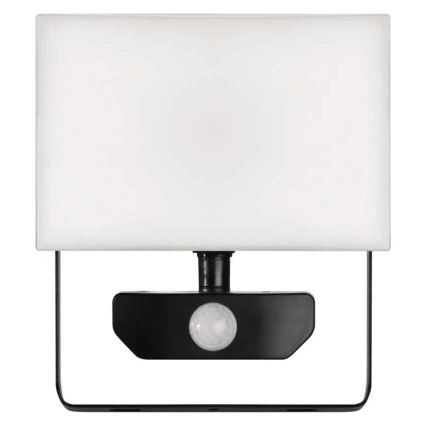 LED Prožektor anduriga TAMBO LED/30W/230V 4000K IP54