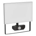 LED Prožektor anduriga TAMBO LED/50W/230V 4000K IP54