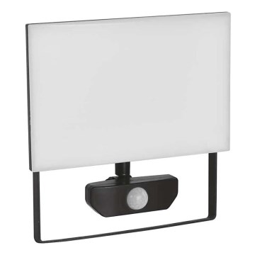 LED Prožektor anduriga TAMBO LED/50W/230V 4000K IP54