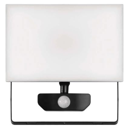 LED Prožektor anduriga TAMBO LED/50W/230V 4000K IP54