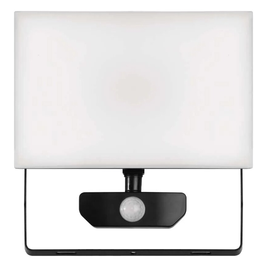 LED Prožektor anduriga TAMBO LED/50W/230V 4000K IP54